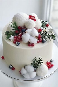 Winter Cake 2